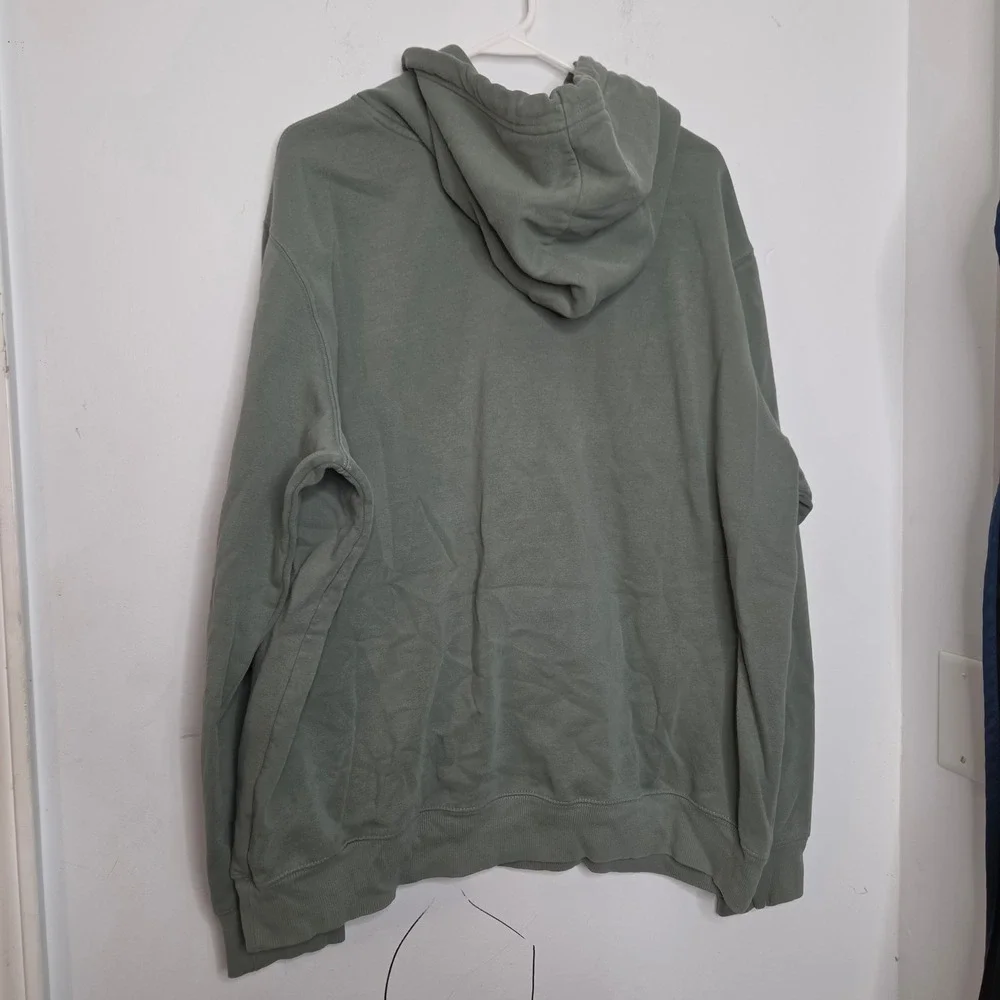 The North Face Mens XL Sage Green Grizzly Bear Mountain Graphic Hoodie Pullover